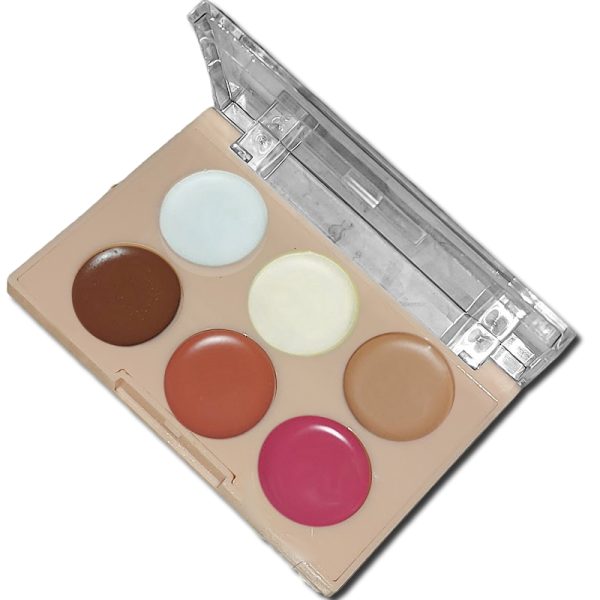paleta de corretivos multiuse concealer love raincor a