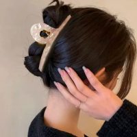 Presilha Piranha Prendedor de Cabelo Grande com Garra Em Plástico